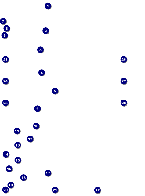 Modern Rodeo Image Flyer Front Field Markers