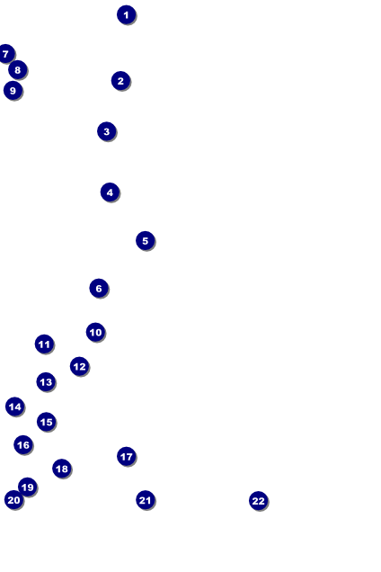 Modern Rodeo Poster Front Field Markers