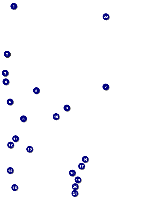 Roller Derby Flyer Front Field Markers