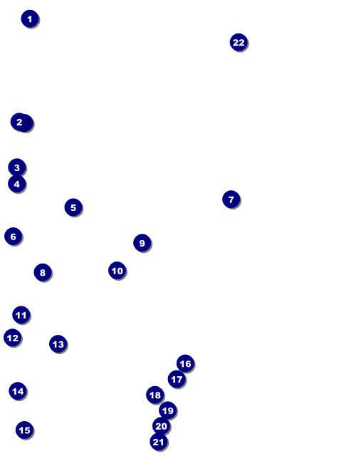 Roller Derby Invitation Front Field Markers