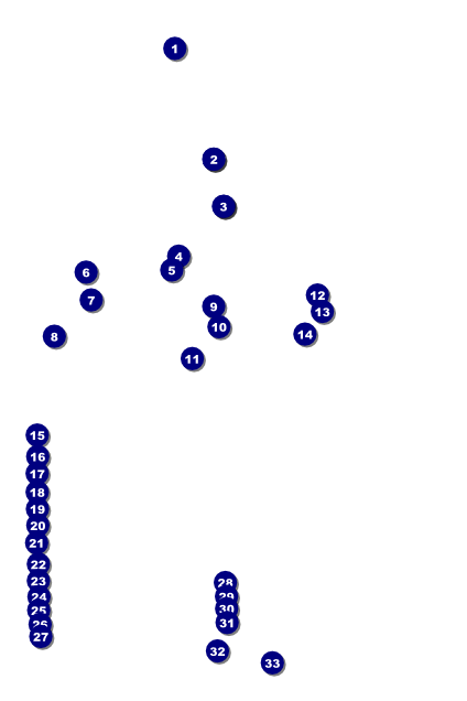 Softball Poster Front Field Markers
