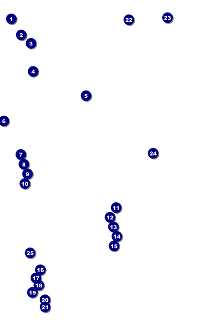 Roller Derby Pink Leopard Poster Front Field Markers