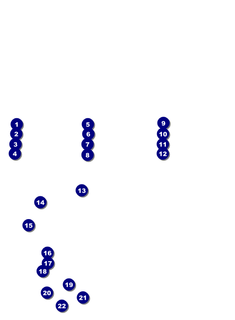 Triathlon Invitation Front Field Markers