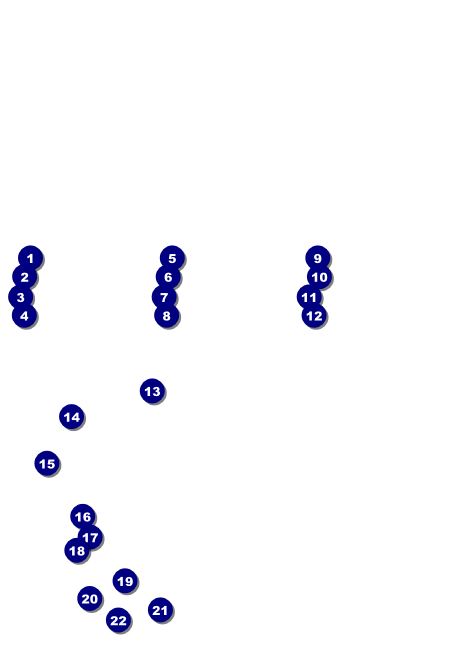 Triathlon Postcard Front Field Markers