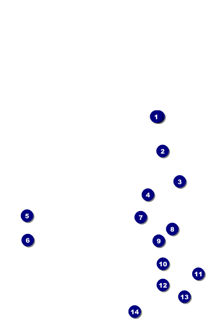 Lacrosse Drink Ticket Front Field Markers