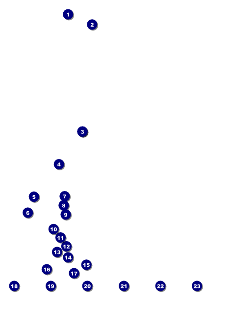 Lacrosse Image Flyer Front Field Markers