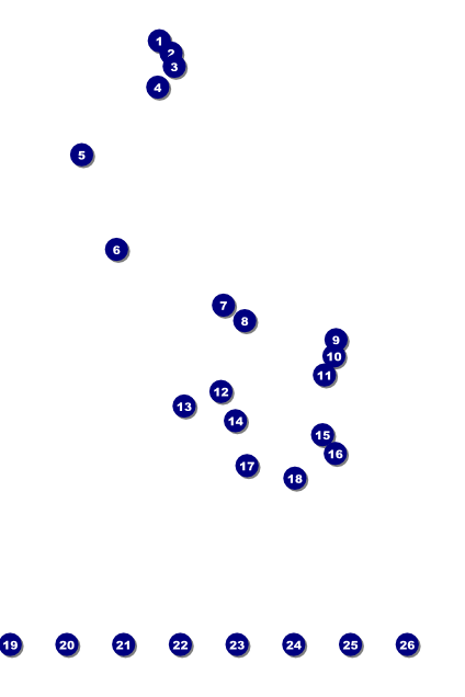 Spring Festival Image Poster Front Field Markers