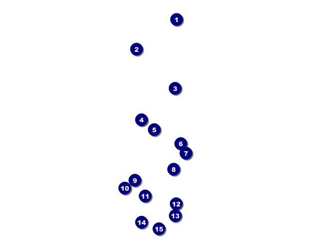 Spring Festival 2 Invitation Front Field Markers