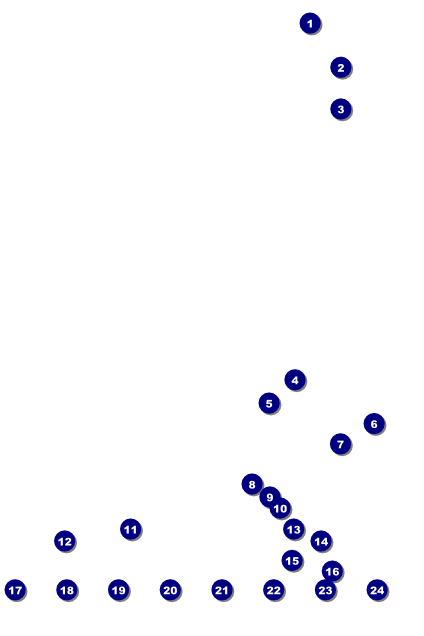 Curling Tournament Image Poster Front Field Markers