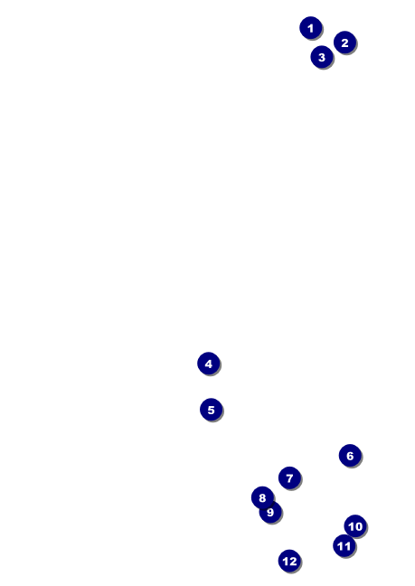 Chinese New Year Rabbit Postcard Front Field Markers