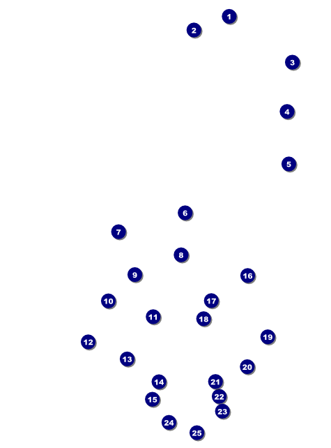 Dart Tournament Flyer Front Field Markers