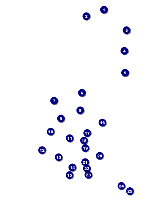 Dart Tournament Postcard Front Field Markers