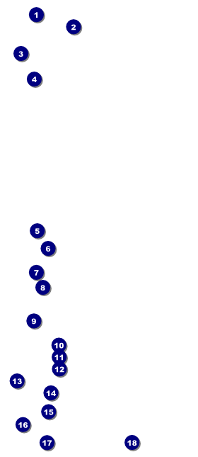 Curling Tournament 2017 VIP Pass Front Field Markers