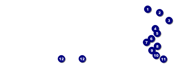 Hockey Badge Blue Raffle Ticket Front Field Markers