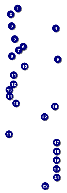 Graduation - Blue and Yellow Raffle Ticket Front Field Markers
