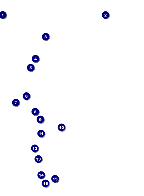 Bingo Bonanza Extravaganza Invitation Front Field Markers