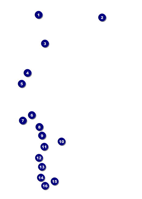 Bingo Bonanza Extravaganza Postcard Front Field Markers