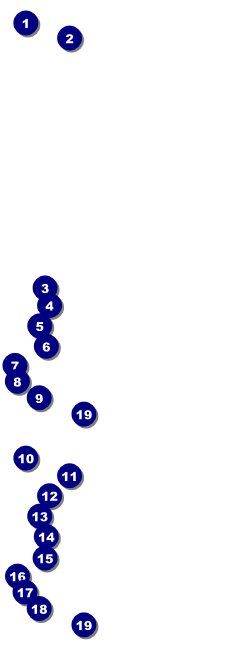 Cherry Blossom Event Ticket Front Field Markers