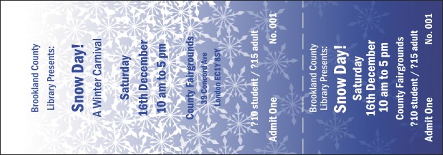 Blizzard General Admission Ticket Product Front