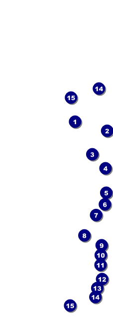 Versus All Purpose Raffle Ticket (Black) Front Field Markers